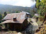 Nayapul To Ghorepani 24 Walking Through Nangathanti